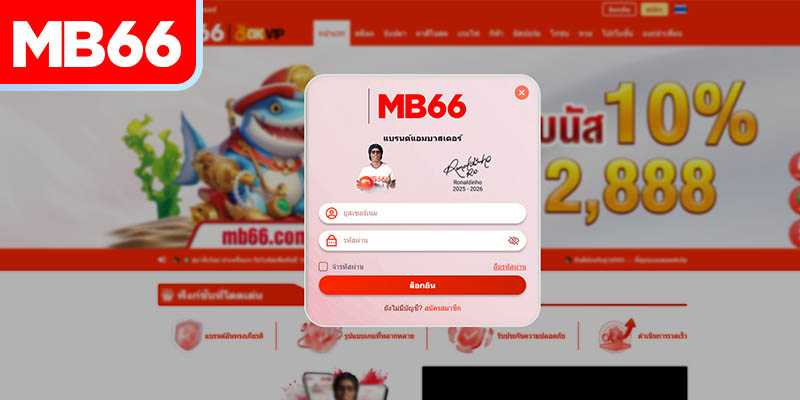 ข้อมูลเบื้องต้นเกี่ยวกับแบรนด์ MB66