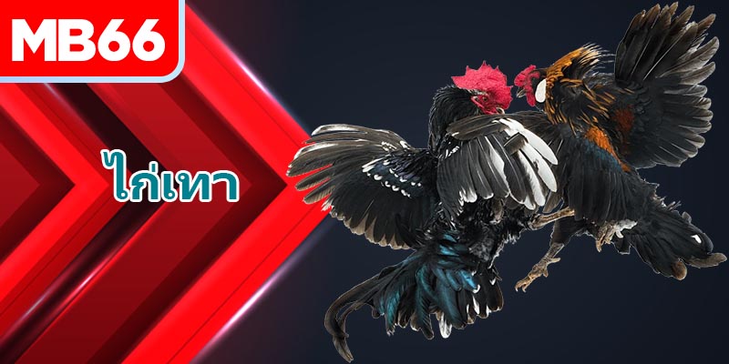 จำแนกนักสู้เทาที่ไร้พ่ายได้อย่างง่ายดายตามคุณสมบัติธรรมชาติ