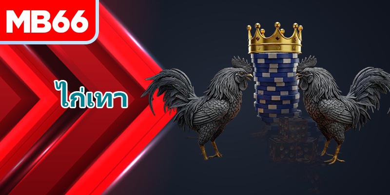 นักสู้ที่สร้างความเป็นเลิศในวงการไก่ชนทั่วโลก