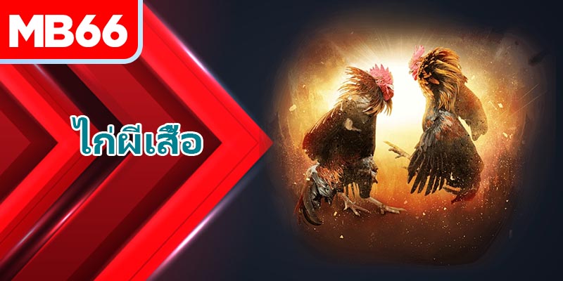 สำรวจรายละเอียดเกี่ยวกับสายพันธุ์ ไก่ผีเสื้อ ที่กำลังเป็นที่นิยมในตลาด