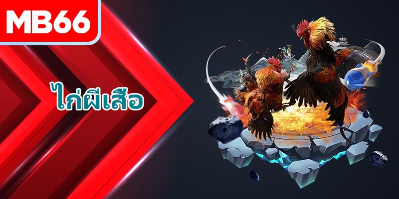 สิ่งที่จำเป็นสำหรับการจัดเตรียมคอกเมื่อเลี้ยง ไก่ผีเสื้อ