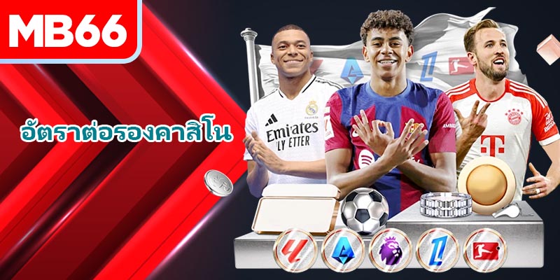 อัปเดตข้อมูล – สิ่งจำเป็นเมื่อเลือกการเดิมพัน