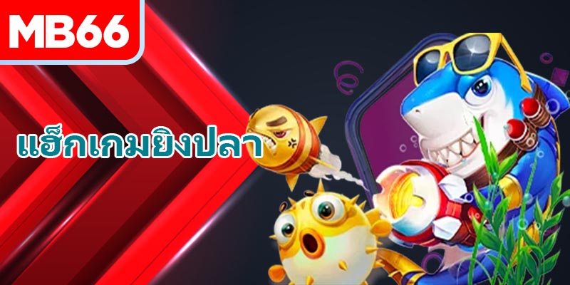 แฮ็กเกมยิงปลา: สิ่งที่คุณต้องรู้ก่อนใช้งาน